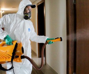 022090_5ed159990dc5e_Dedetizar_sanitizacao_34.jpg